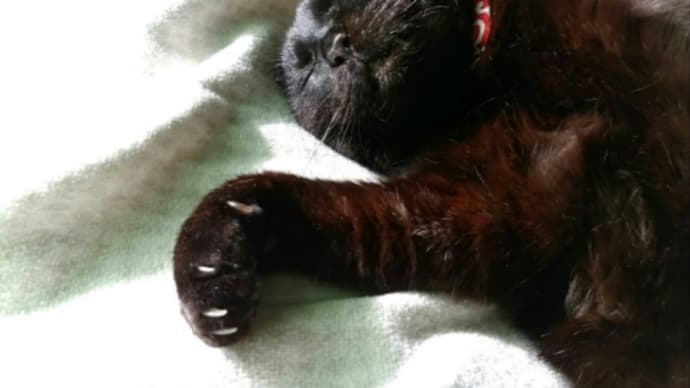 寝直しましょう