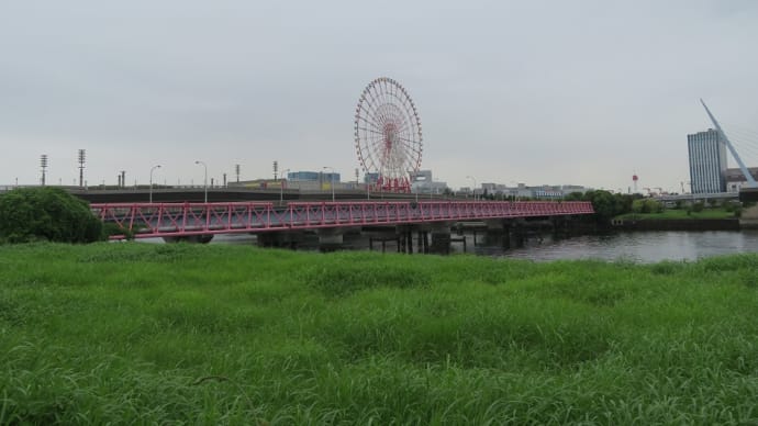 お台場のパレットタウン大観覧車!2022年8月31日(水)を持って閉業致しました。