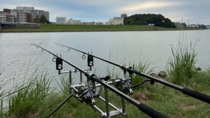 10月31日の鯉釣り