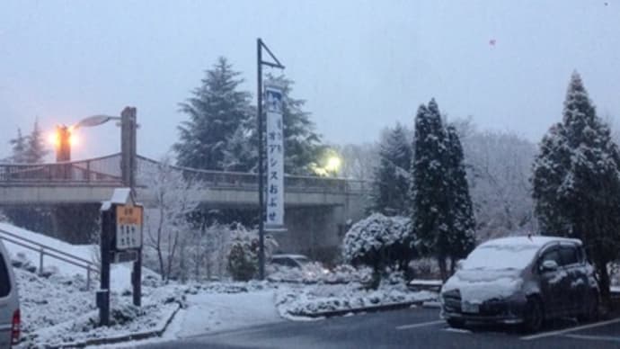 雪が、、
