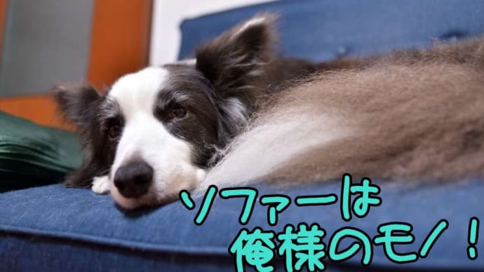 皆さんのご家庭は…どうなんだろう(。-_-。)