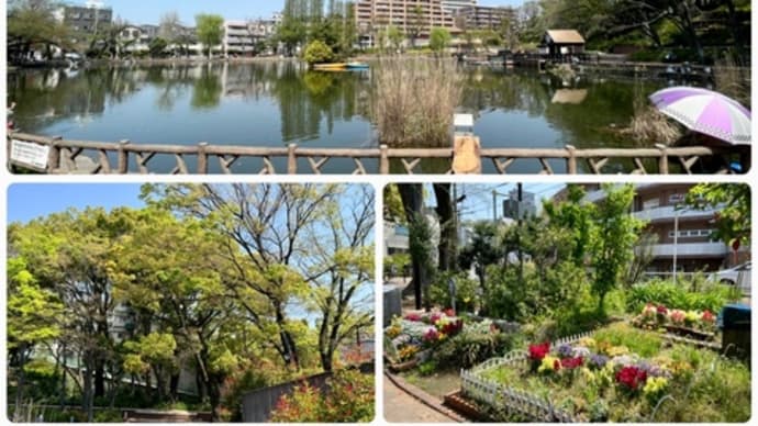 板橋区見次公園と北区赤羽自然観察公園