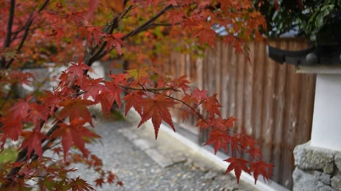 京都　三千院と保津峡