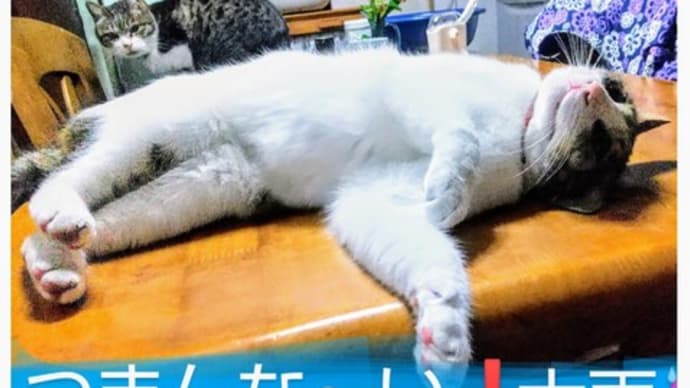 嵐よ! 木曜日クラス(3月後半のまとめ)
