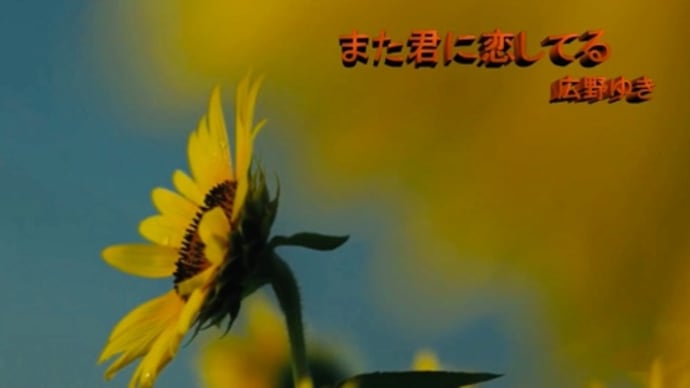 また君に恋してる❣️