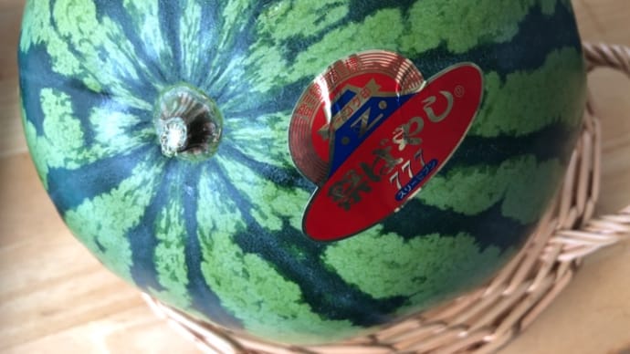 TIME誌でお勉強 & 夏のスローガン🍉ス・イ・カ