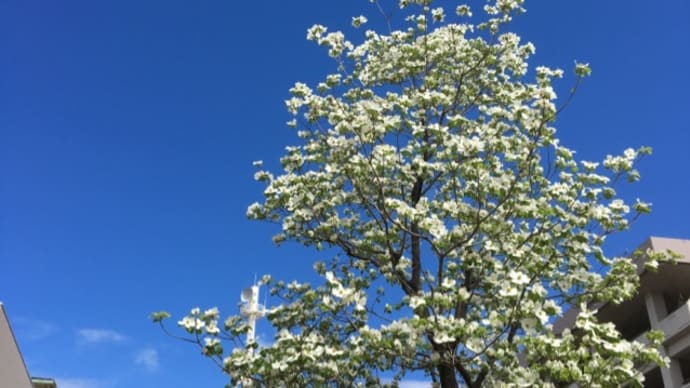 あなたがここにいてほしい