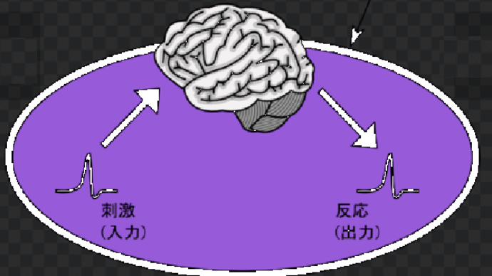 「現代の科学で説明できない事多い」「5つの疑問」「意識の謎」