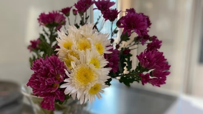 家の中にも花を。。。