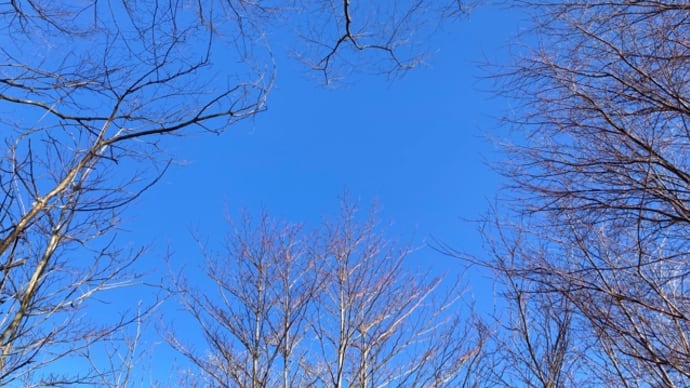 20240303の天気@八ヶ岳