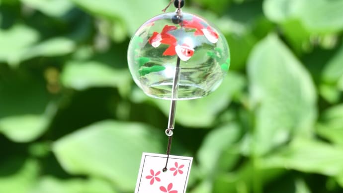 風を愛でる…江戸風鈴