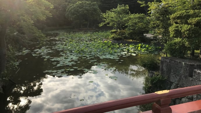 お久しぶりです😊