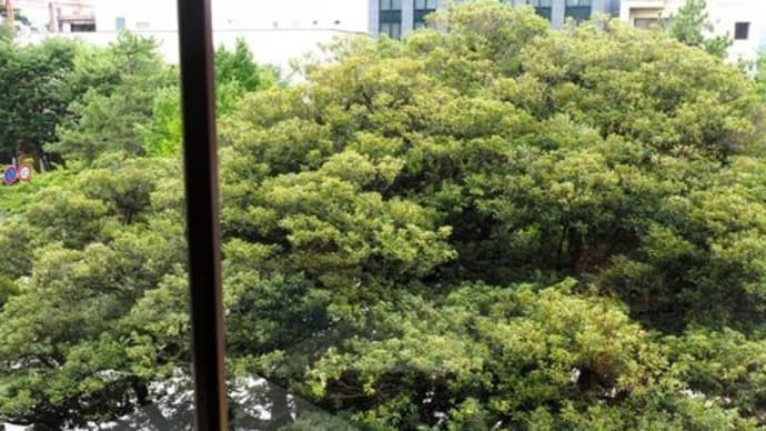 なつやすみ 0728
