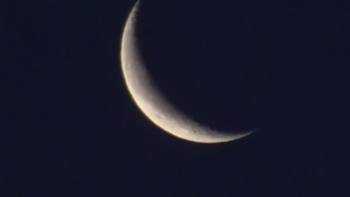 今年最後かな・・
