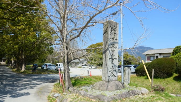 大宰府市の散策記 on 2025-4-9&4-10 その5 観世音寺