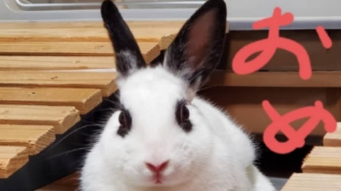 今年もよろしくお願い致します
