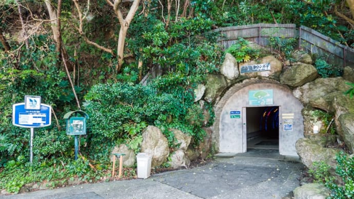 淡島外周散策 2022　FILE:3 淡島遊歩トンネル