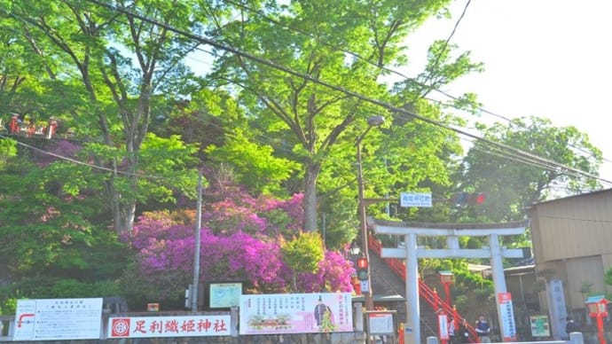 犬と栃木県足利観光にやってきました♪