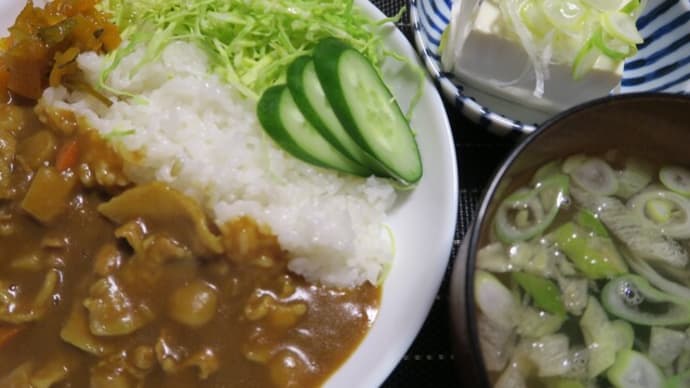 3月もお終い、月末はライスカレーと冷や奴と味噌汁、炊屋食堂の田舎定食・・・庶民の味。
