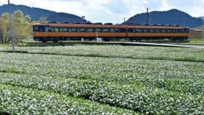 大井川鐡道16000系