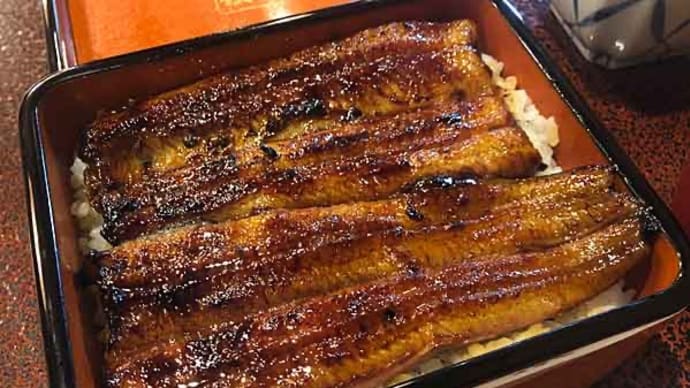 三島といえば創業安政三年の老舗名店 「うなぎ 桜家」 のうなぎ重箱!