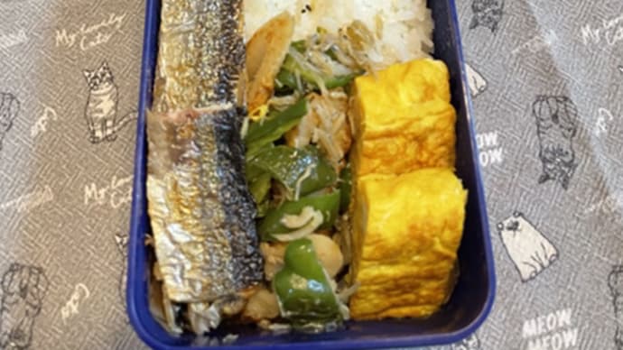 また来たのね