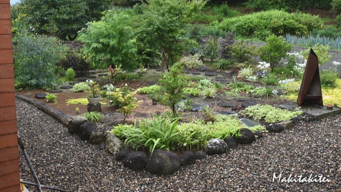 局地的に激しい雷雨 / 乗用草刈機は高嶺の花 / アンコールの旅立ち