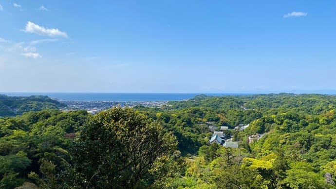 天園ハイキングコース行ってみた