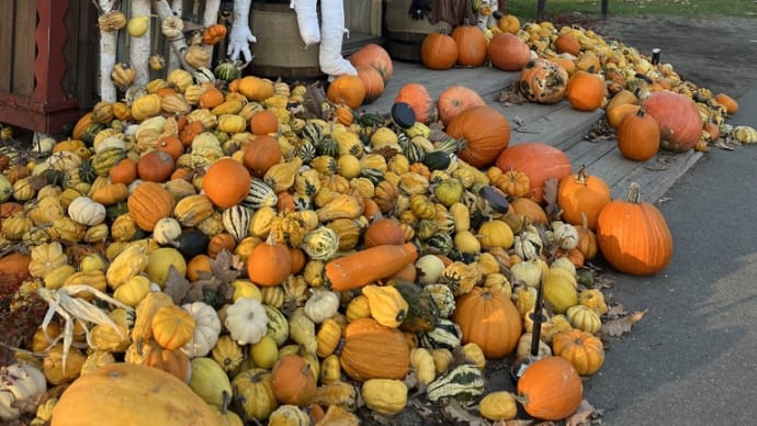 ハロウィン🎃