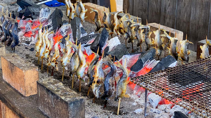 猛暑日は鮎の塩焼きが美味い