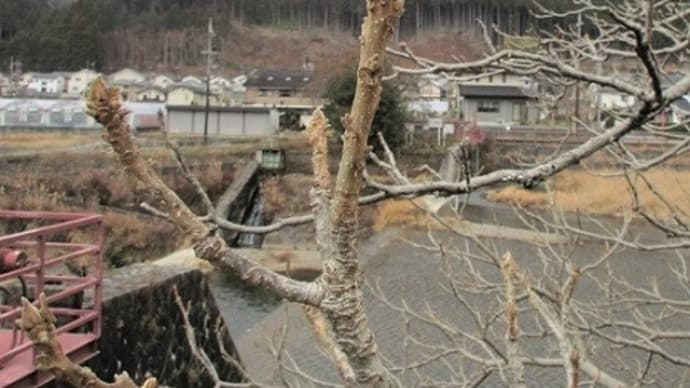また来たよ、よろしくね