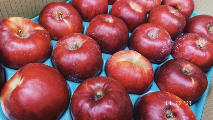 信州の「紅玉」、予約受付中。