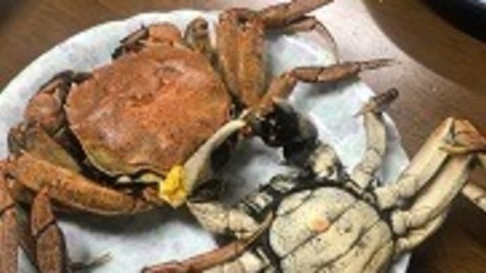 石狩川のカニ。
