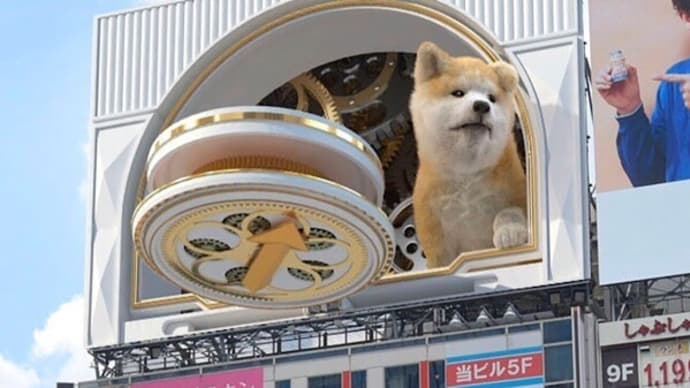 渋谷のビルに秋田犬