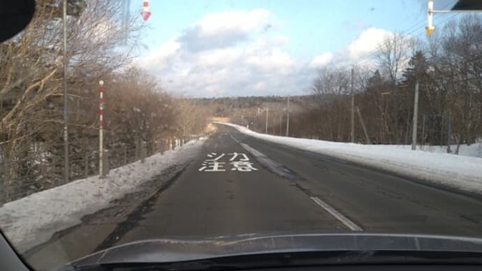 鹿飛注意〜北海道の鹿たち