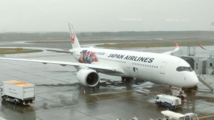 航空機ラッピング