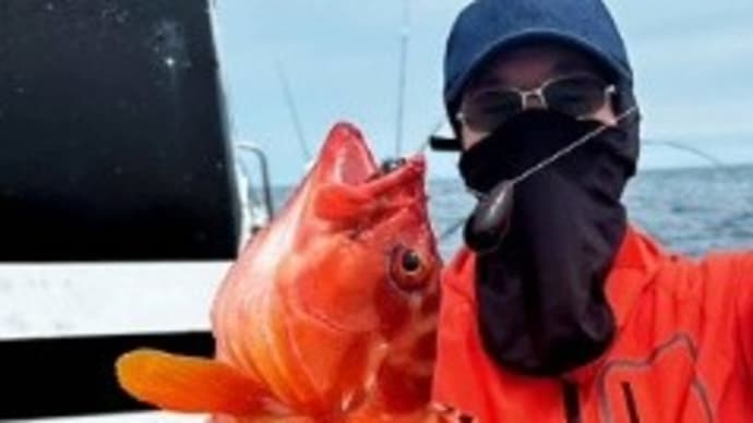 募集と中止とロックフィッシュ