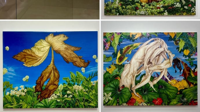 分断カラフル 森下進士展