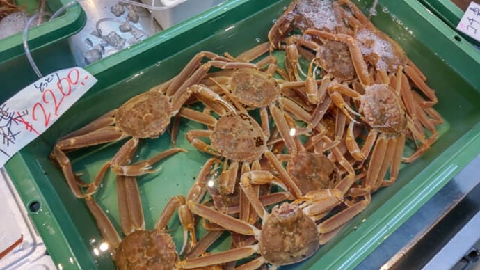 腰痛、足裏のシビレ、膝裏痛、すね痛、首~肩がだるい