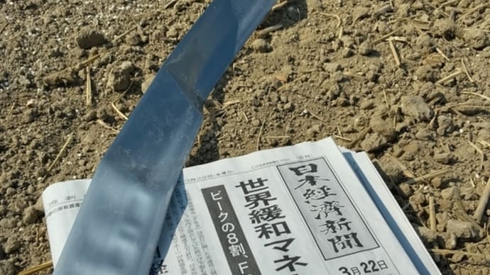 3月22日