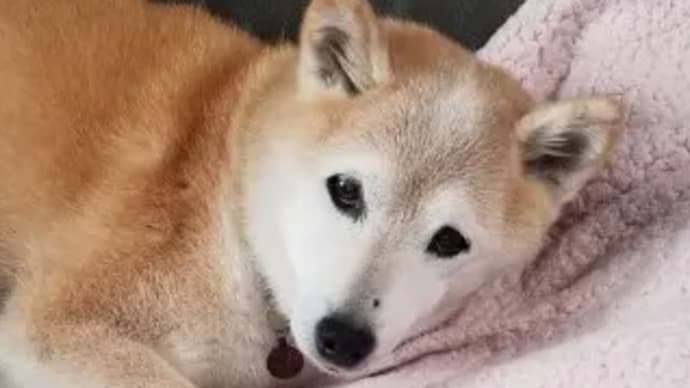 クリンへの想いは尽きなくて・・・71