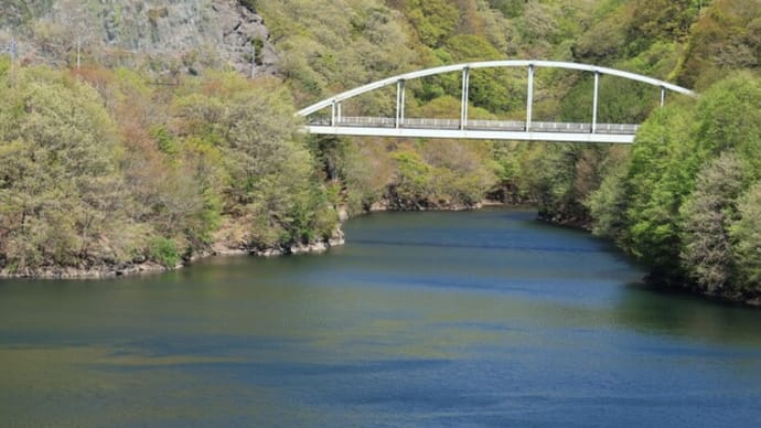 桜咲く瑞牆湖