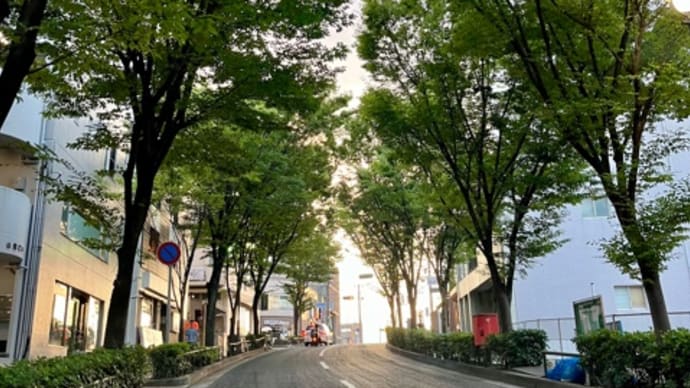 お出かけ