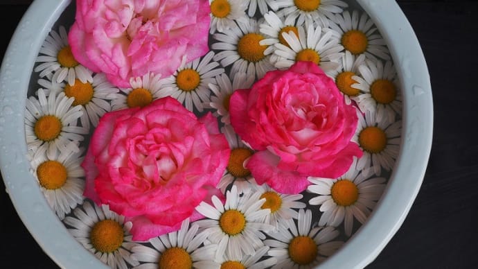 ６月の花手水鉢と庭の花の楽しみかた