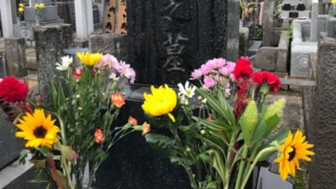 新国立美術館とレストランラファエル