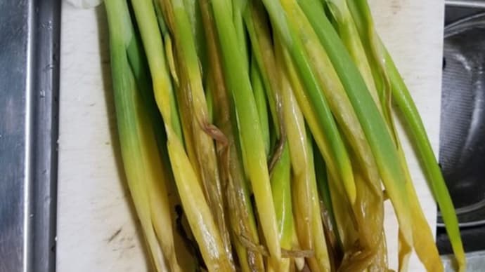 自然農で作った野菜は腐らない?