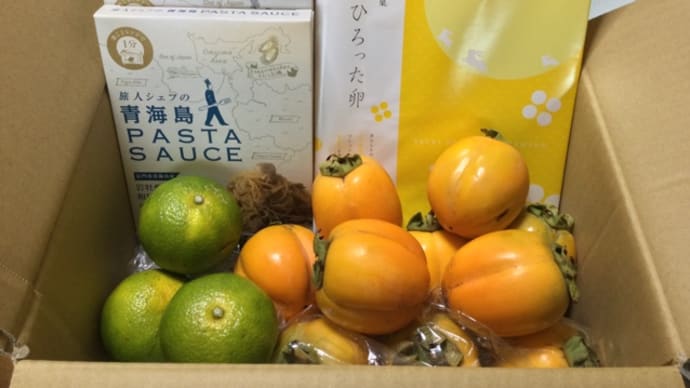 合わせ柿(西条柿)