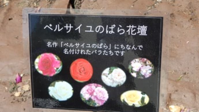 鶴舞公園のお気に入りの薔薇たちと風景の油絵