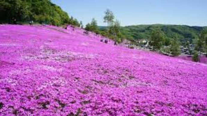 梅野哲の観に行きたい桜の名所㉘