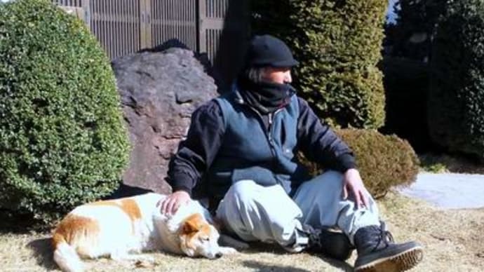 ニュードライバー